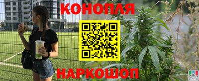 Альфа ПВП Апрелевка