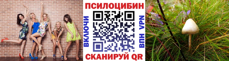 Псилоцибиновые грибы MAGIC MUSHROOMS  Апшеронск 