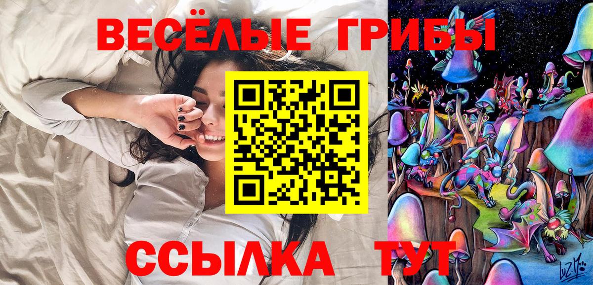 Псилоцибиновые грибы Cubensis Апшеронск